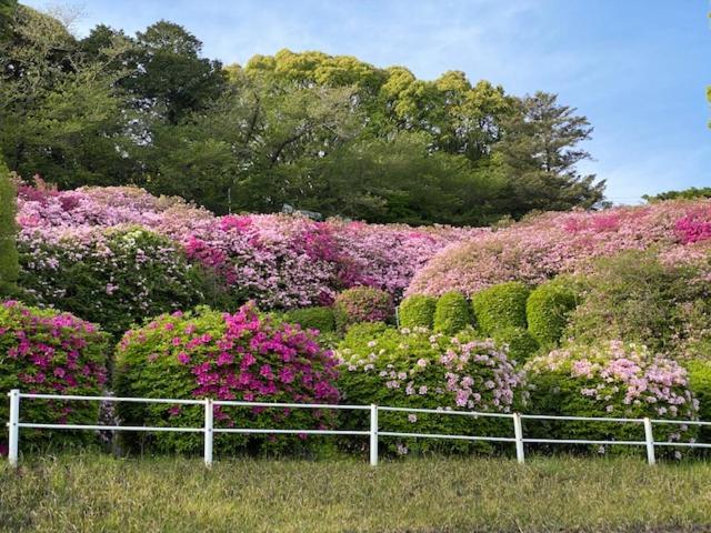 Hatago Hashimoto Ozu  Екстер'єр фото